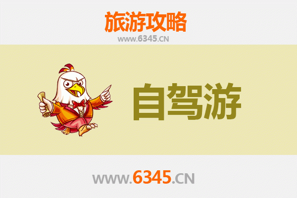温州龙湾家庭自驾游全攻略：探索自然与文化的亲子之旅