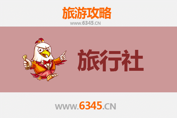 温州龙湾本地旅行社推荐及深度游玩攻略